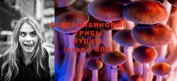 MDMA Богородицк