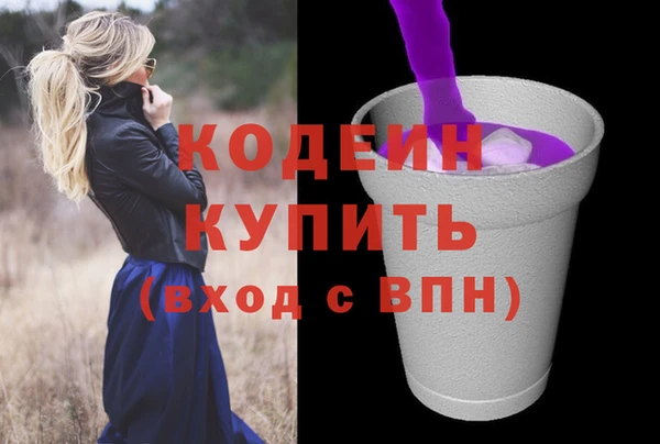 спиды Бородино