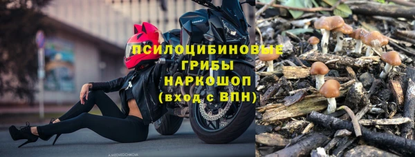 первитин Богданович