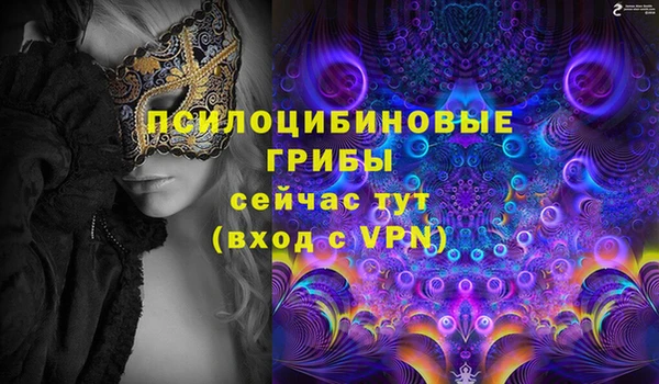 спиды Бородино