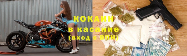 первитин Богданович