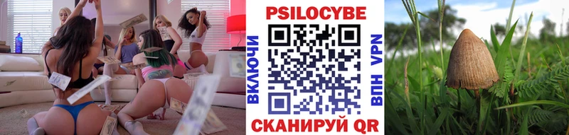 KRAKEN ссылки  Верхняя Тура  Галлюциногенные грибы GOLDEN TEACHER 